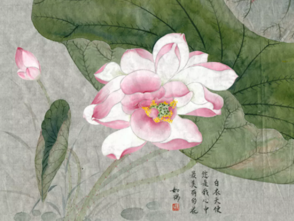 QQ图片20211129161756.png