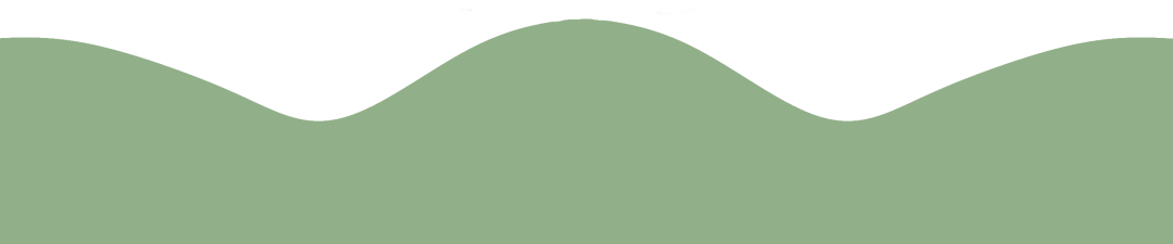 2023.6.7-4.png