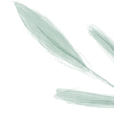 2024.5.24-9.png