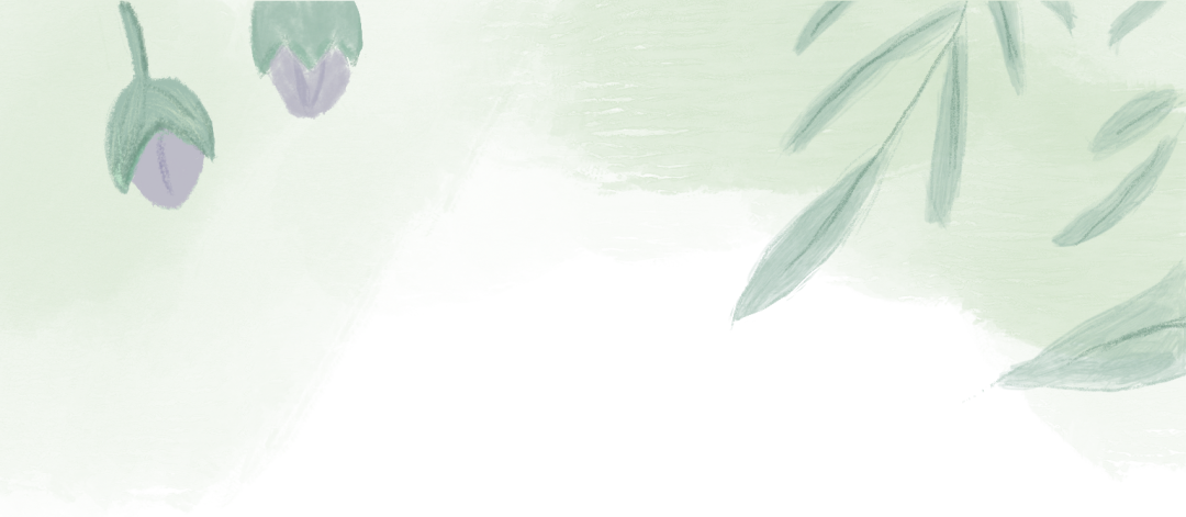 2024.5.24-10.png