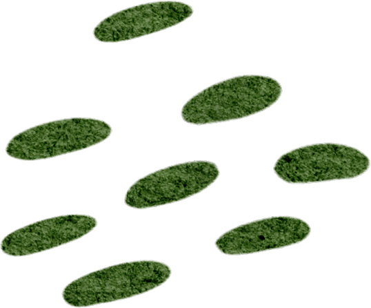 2024.5.27-3.png