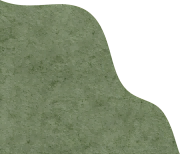 2024.5.27-5(1).png