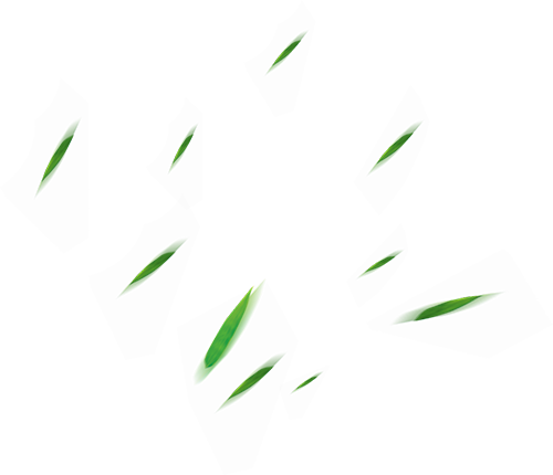 2024.5.30-4.png